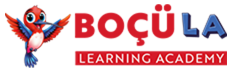 Boçü Learning Academy